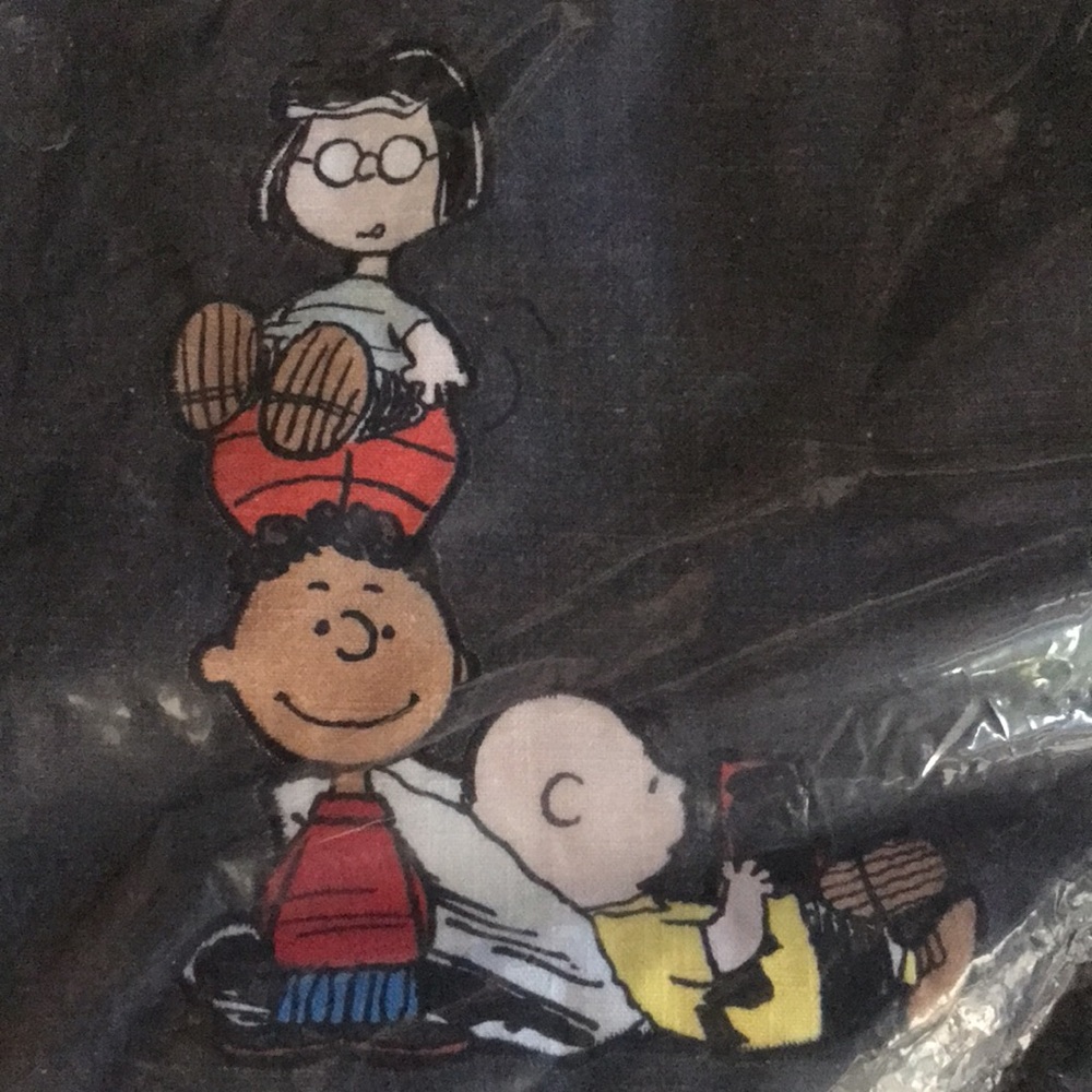 Pottery Barn Peanuts “LOVE” Happy Valentines Charlie Brown Pillow Cover … - Picture 9 of 16